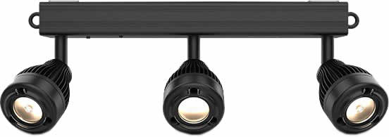 Alternative text - Chauvet